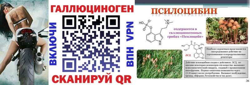 Псилоцибиновые грибы Cubensis omg tor Баймак купить закладку